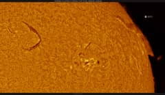 Preview of Filaprom on the Western Limb