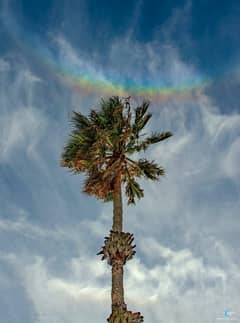 Preview of When Rainbows Smile