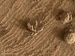 Preview of A Flower-Shaped Rock on Mars