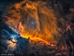 Preview of A Lion in Orion