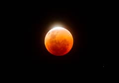 Preview of A Jewel on the Flower Moon