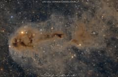 Preview of Lynds Dark Nebula 1251