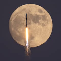 Preview of The Falcon and the Hunter's Moon