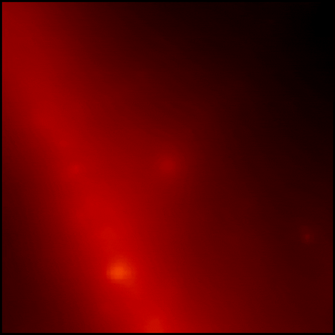 Preview of GRB 221009A