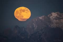 Preview of The Persistence of Moonlight