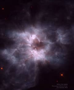 Preview of NGC 2440: Cocoon of a New White Dwarf