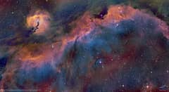 Preview of The Seagull Nebula
