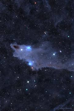 Preview of The Shark Nebula