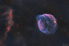 Preview of Sh2-308: A Dolphin Shaped Star Bubble