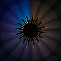 Preview of Twilight in a Flower