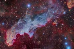 Preview of IC 2118: The Witch Head Nebula