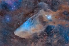 Preview of IC 4592: The Blue Horsehead Reflection Nebula