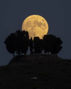 Preview of A Harvest Moon over Tuscany