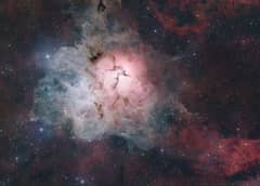 Preview of The Light, Dark, and Dusty Trifid
