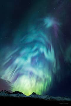Preview of Christmas Tree Aurora