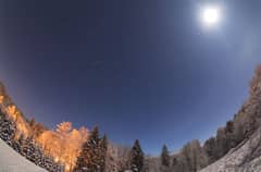 Preview of Geminid Meteors over a Snowy Forest