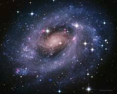 Preview of NGC 300: A Galaxy of Stars