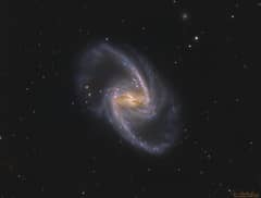 Preview of NGC 1365: Majestic Island Universe
