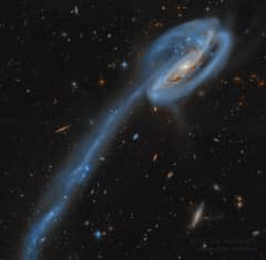 Preview of The Tadpole Galaxy from Hubble
