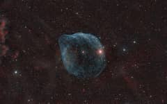 Preview of SH2-308: The Dolphin Head Nebula