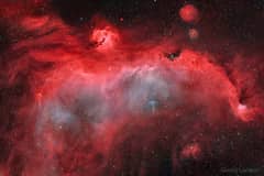 Preview of The Seagull Nebula