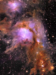 Preview of M78 from the Euclid Space Telescope