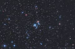 Preview of The 37 Cluster