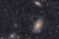 Preview of 38 Hours with the M81 Group