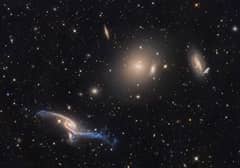 Preview of Giant Galaxies in Pavo