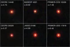 Preview of Mystery: Little Red Dots in the Early Universe