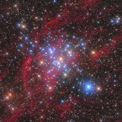 Preview of M41: The Little Beehive Star Cluster