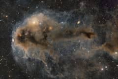 Preview of Lynds Dark Nebula 1251