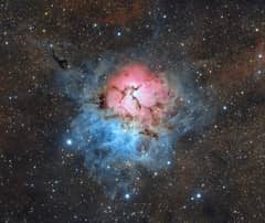 Preview of A Beautiful Trifid