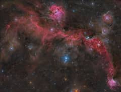Preview of The Seagull Nebula
