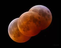 Preview of Tololo Totality