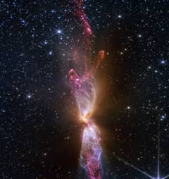 Preview of The Protostars within Lynds 483