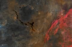 Preview of A Dark Seahorse in Cepheus