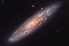 Preview of NGC 253: Dusty Island Universe