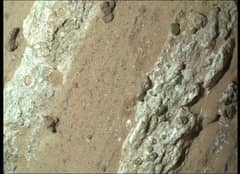 Preview of Leopard Spots on Martian Rocks
