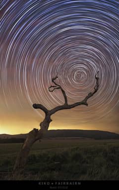 Preview of South Celestial Tree