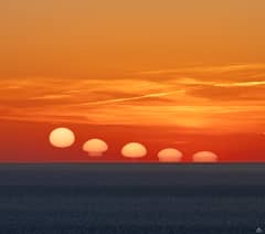 Preview of The Persistence of Sunlight