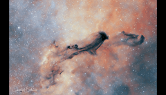 Preview of B93: A Dark Interstellar Ghost