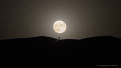 Preview of Full Moonlight