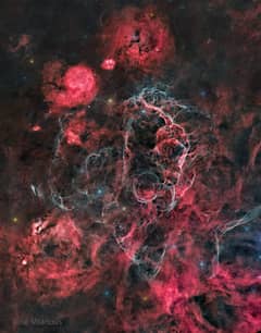 Preview of The Vela Supernova Remnant
