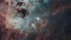 Preview of The Tadpoles of IC 410
