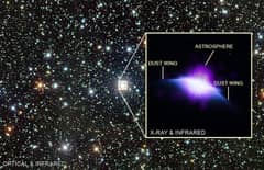 Preview of The Astrosphere of HD 61005