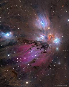 Preview of NGC 2170: The Angel Nebula