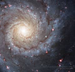 Preview of M74: A Grand Design Spiral