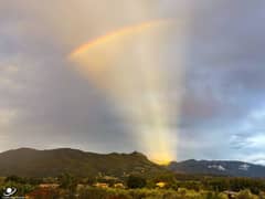 Preview of An Anticrepuscular Rainbow Fan