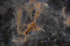 Preview of LDN 1295: The Giraffe Nebula